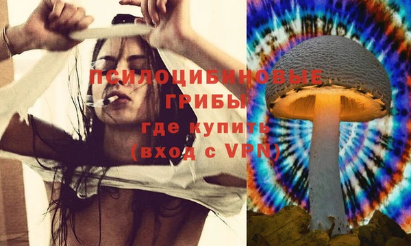 мдпв Белокуриха